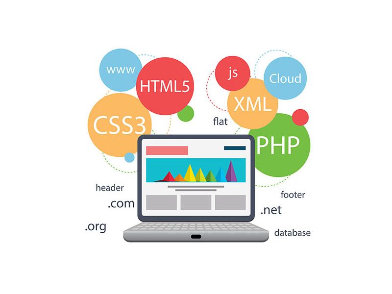 أهمية تصميم مواقع html